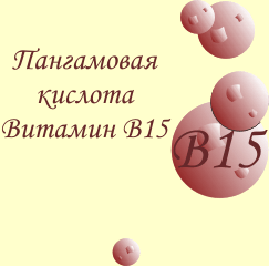 ビタミンB15に関する一般情報
